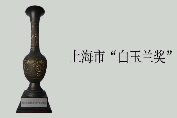 上海市“白玉蘭獎(jiǎng)”