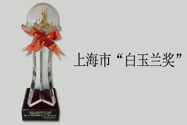 上海市“白玉蘭獎(jiǎng)”