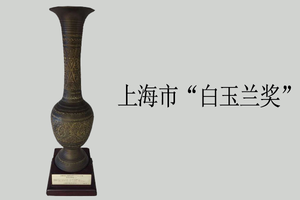 上海市“白玉蘭獎(jiǎng)”